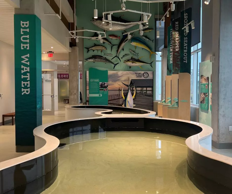 Interior view of Port Wonder’s Blue Water gallery featuring a large touch tank and educational displays on marine species and Louisiana fishing habitats.